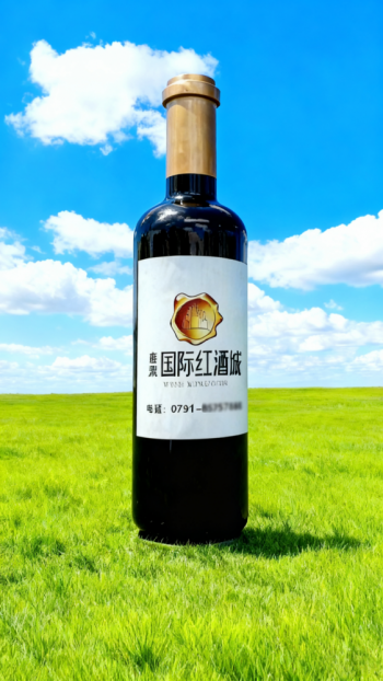 玻璃鋼仿真酒瓶雕塑 (7)