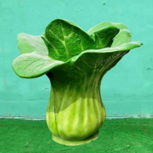 仿真油菜 玻璃鋼