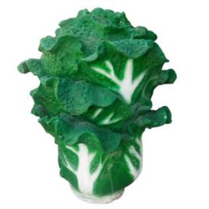 小白菜 玻璃鋼仿真蔬菜