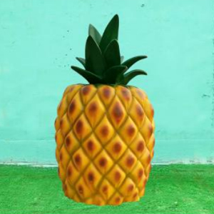 仿真菠蘿 玻璃鋼