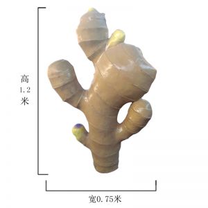仿真生姜玻璃鋼