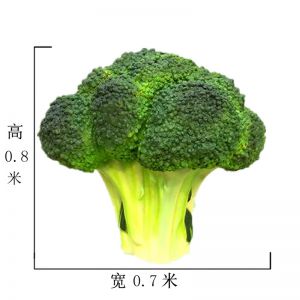 小號菜花玻璃鋼